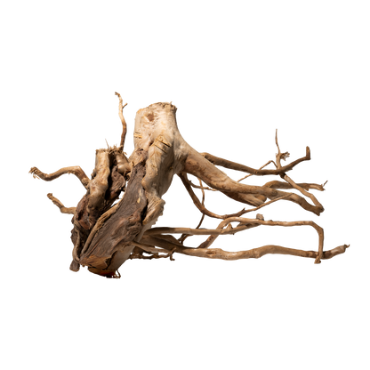 Spiderwood