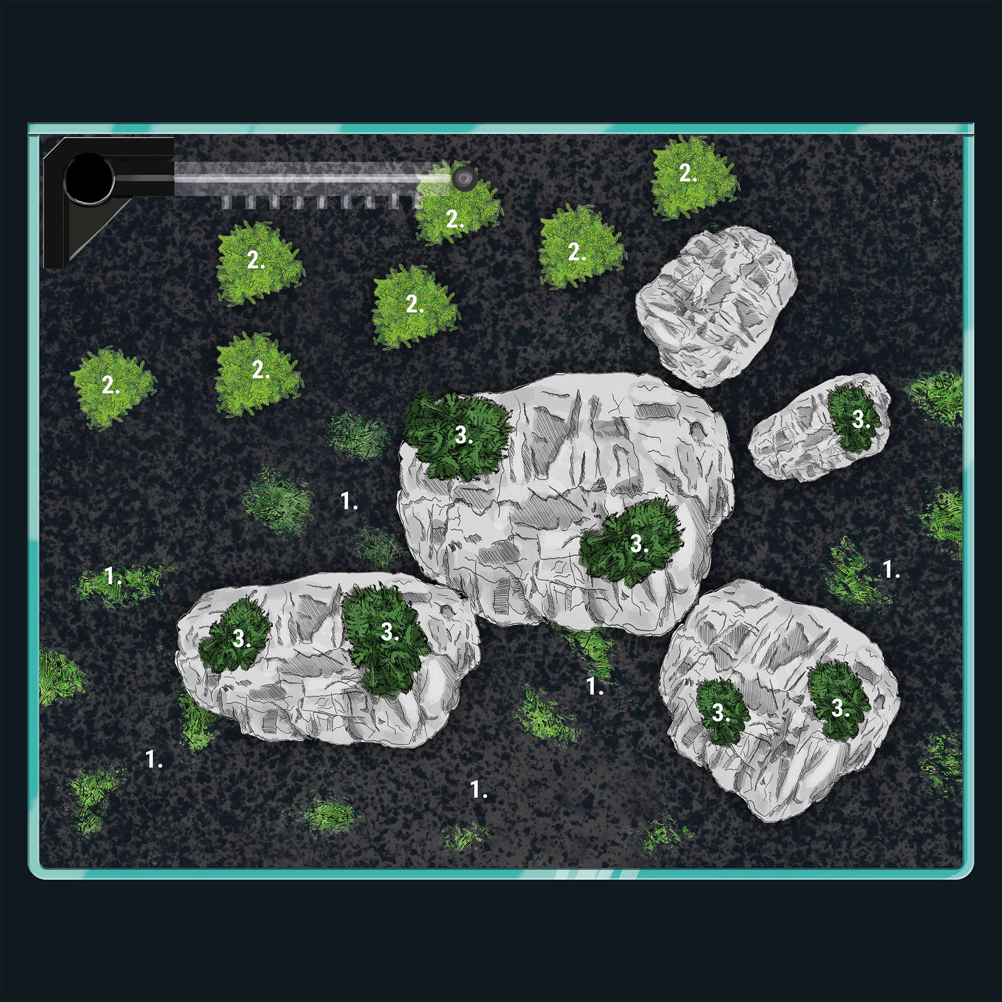 Green Rocks