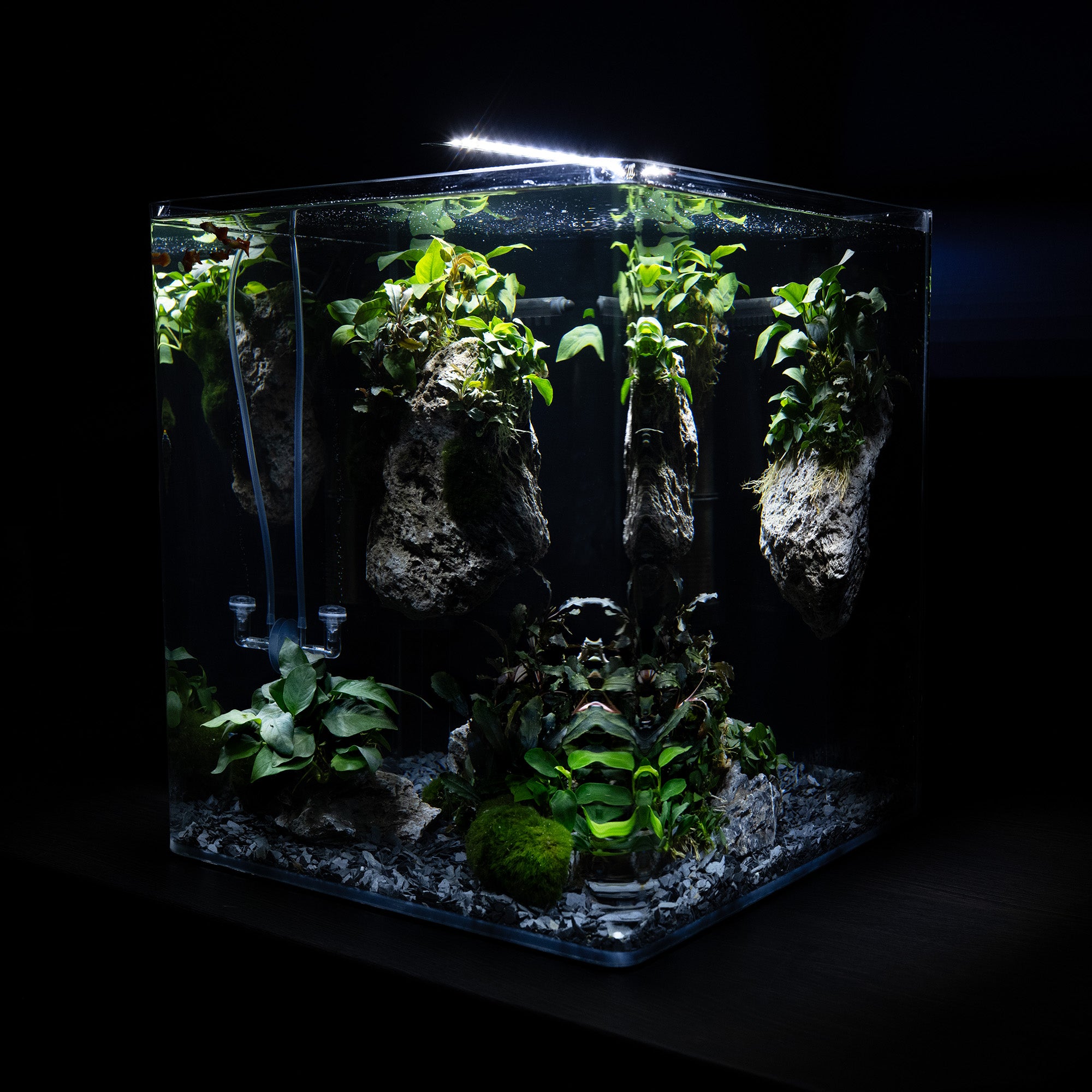 The Floating Stones