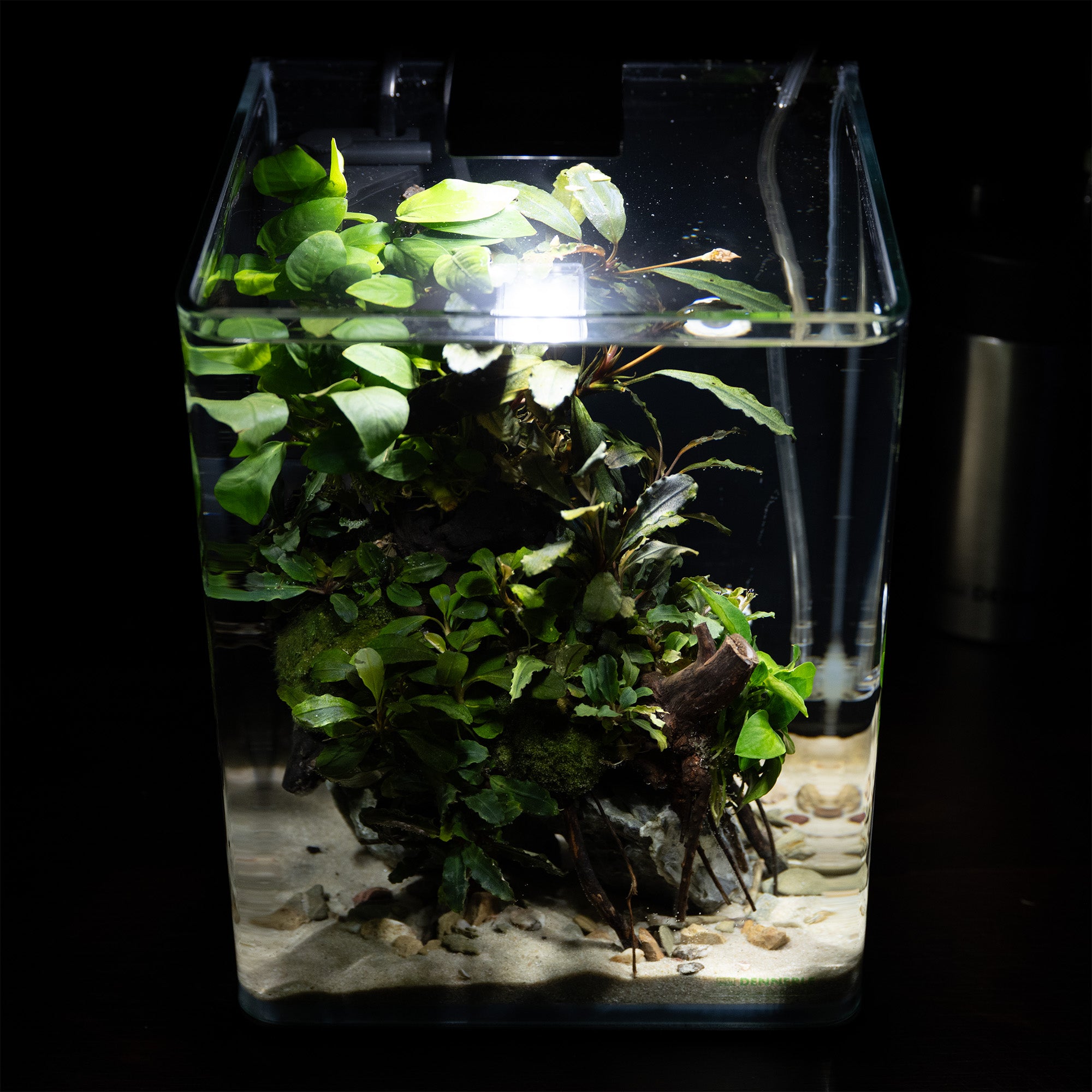 Nano Jungle